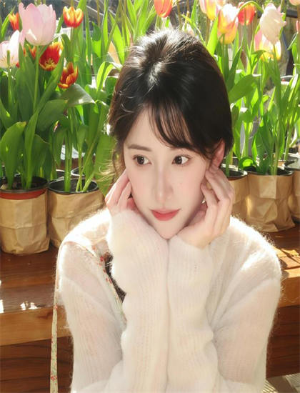 《美少女游戏组合 第二季》衍生内容观看指南：相关作品推荐与关联